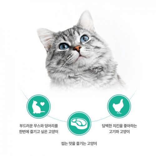 [유통24.9] 팬시피스트 화이트라벨 고양이 주식캔 85g (치킨 청키)