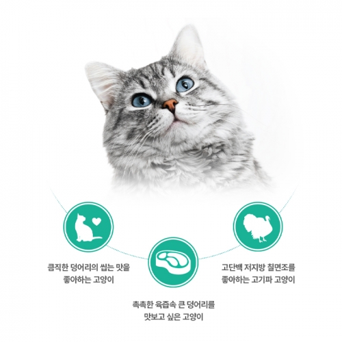 팬시피스트 화이트라벨 고양이 주식캔 85g (칠면조 슬라이스)
