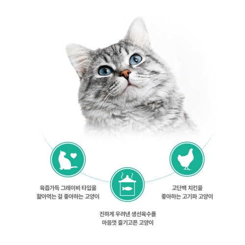 팬시피스트 화이트라벨 고양이 주식캔 85g (치킨 그레이비)