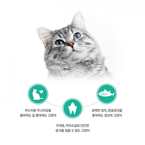 팬시피스트 화이트라벨 고양이 주식캔 85g (흰살생선과 참치)