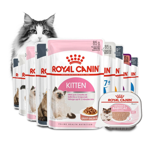 로얄캐닌 고양이 습식 캔 파우치 그레이비 젤리 로프 키튼 인도어7 에이징 라이트캣 유리너리