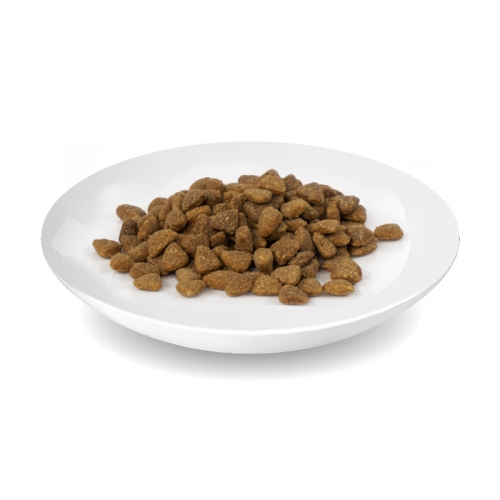 [+로우즈 캔 85g] 로우즈 캣 밀프리 드라이 푸드 고양이 사료 1.5kg 3.5kg - 치킨 연어