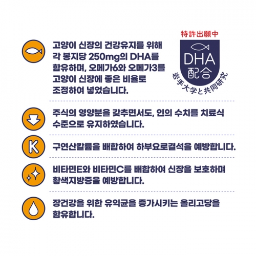 AIXIA 아이시아 건강캔파우치 신장활력 40g (맛선택) - 12개