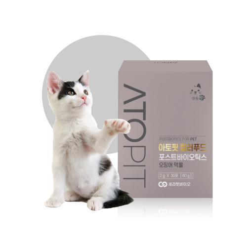 [유통24.6] 아토핏 컬러푸드 포스트바이오틱스 4세대 고양이 유산균 영양제 60g (오징어먹물)